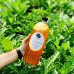 Chai tròn cứng 1000ml