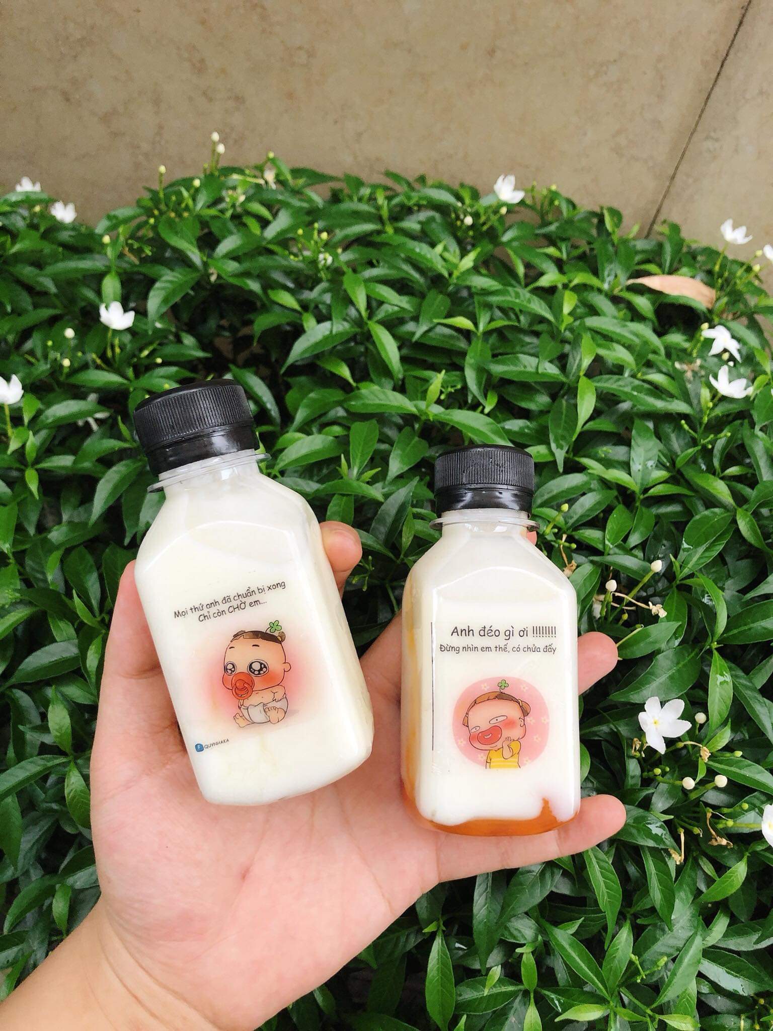 Chai nhựa vuông 120ml